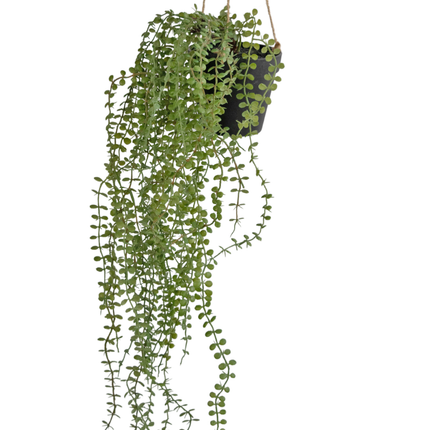 Plante artificielle tombante Pumila 81 cm dans un pot
