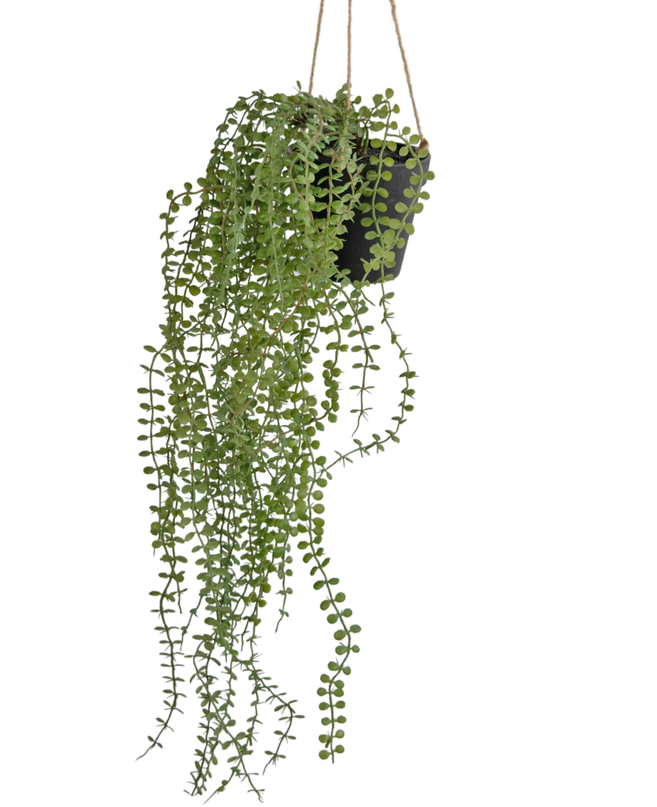 Plante artificielle suspendue Pumila 81 cm dans un pot