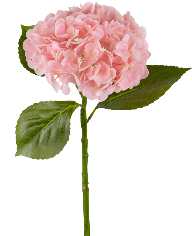 Hortensia artificiel "Annabelle" Real Touch rose 55 cm