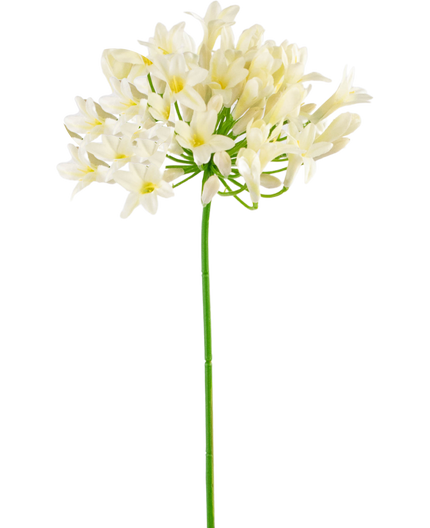 Fleur artificielle Agapanthe blanc 75 cm
