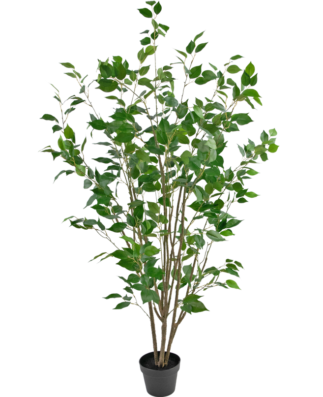 Plante artificielle Ficus 150 cm