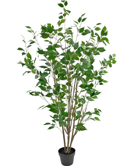 Plante artificielle Ficus 150 cm
