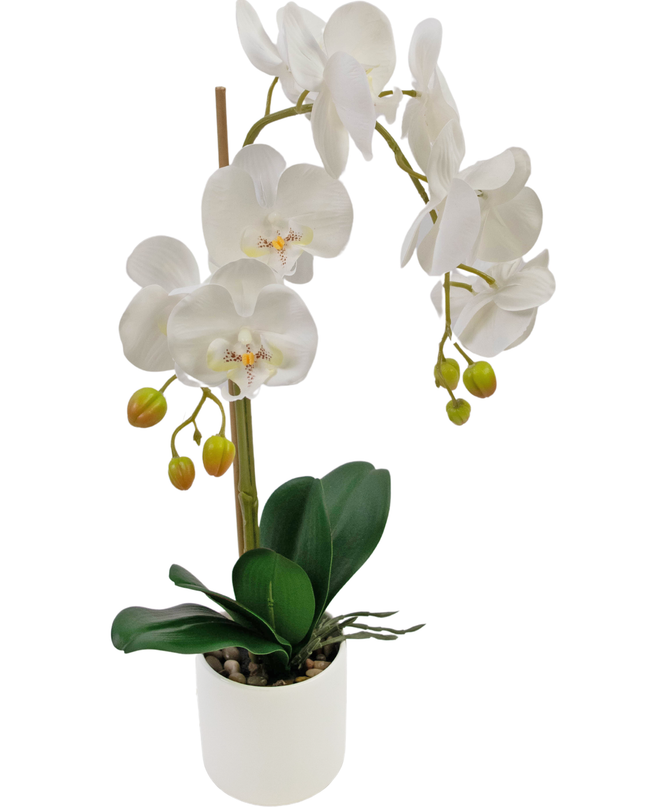 Orchidée artificielle 52 cm blanche dans un pot blanc