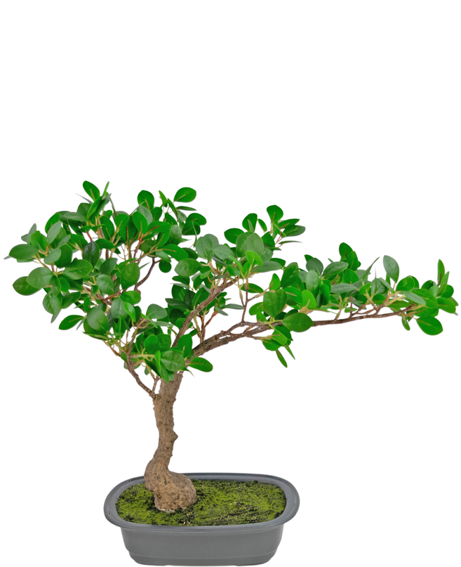 Plante artificielle Bonsai Ficus 40 cm
