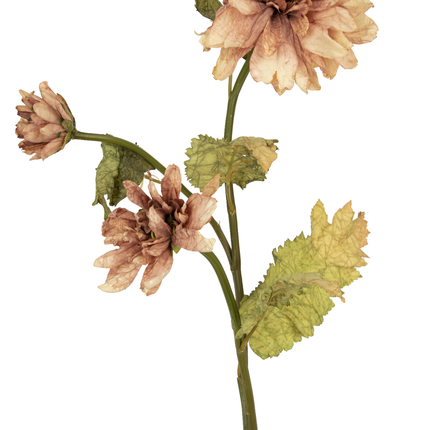 Fleur artificielle Dahlia séché 85 cm rose