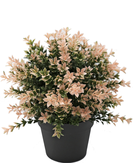 Plante artificielle Buxus rose 22 cm UV