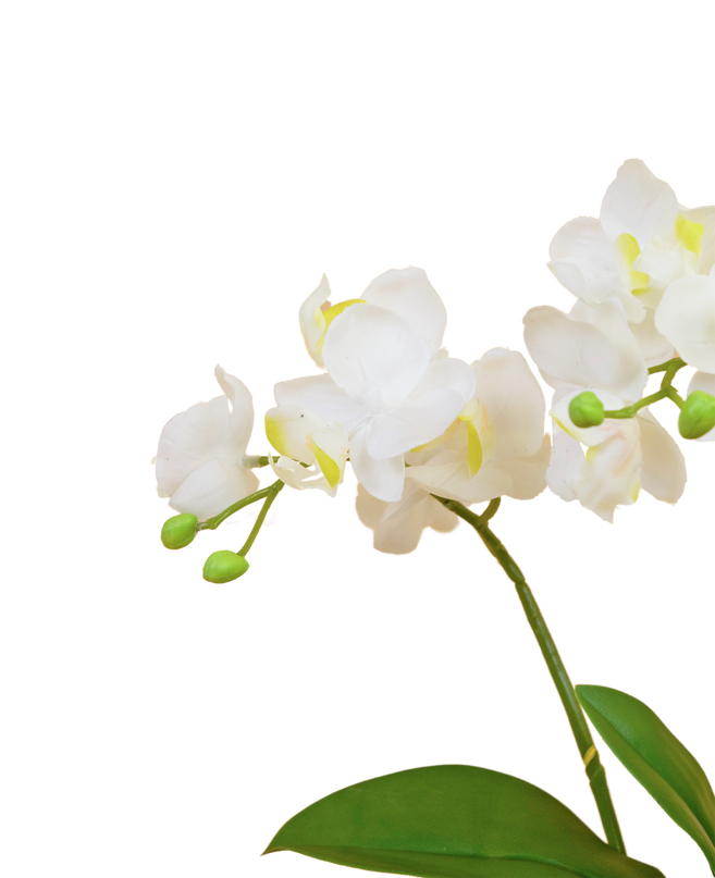 Orchidée artificiel rose 22 cm