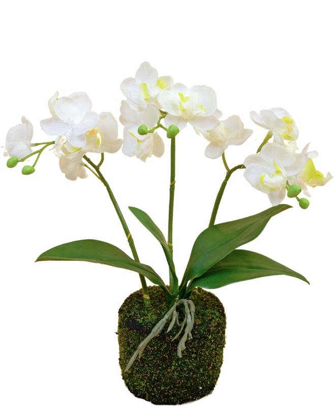Orchidée artificiel rose 22 cm