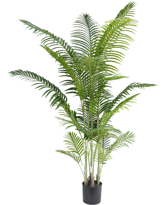 Plante artificielle Phoenix 210 cm