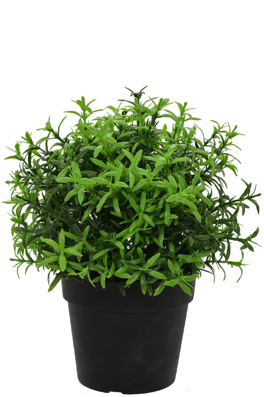 Plante artificielle Herbes en pot 21 cm UV