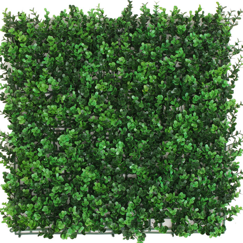 Mur végétal artificiel Buis vert 50x50 cm UV