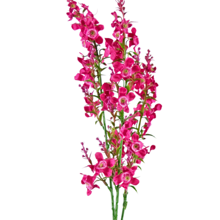 Fleur artificielle Herbe à chat 75 cm rose