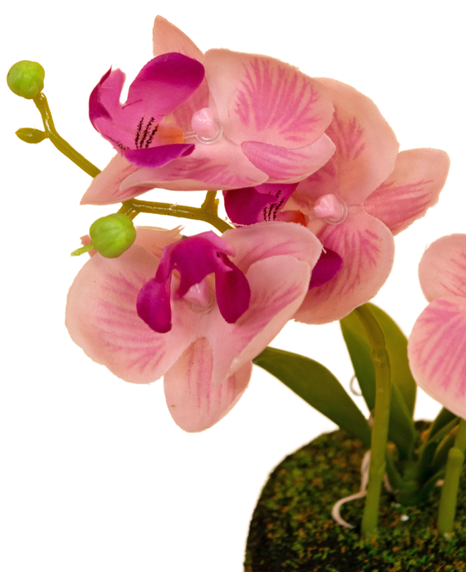 Orchidée artificielle 32 cm blanche