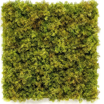 Mur végétal artificiel Mousse Nordique 50x50 cm UV