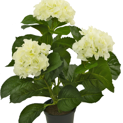 Hortensia synthétique blanc 35 cm