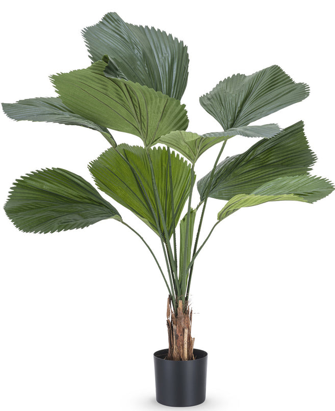 Plante artificielle Lucuala Grandis 120 cm