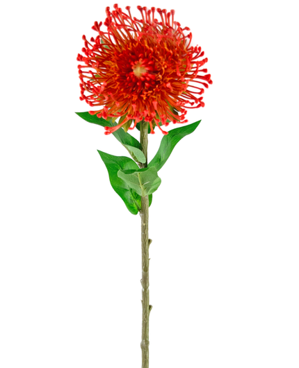 Fleur artificielle Protea 73 cm rouge