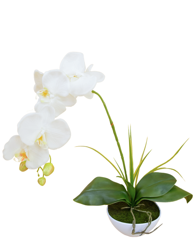 Orchidée artificielle 50 cm blanche en pot