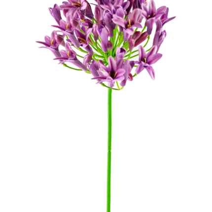 Fleur artificielle Agapanthe violet 75 cm