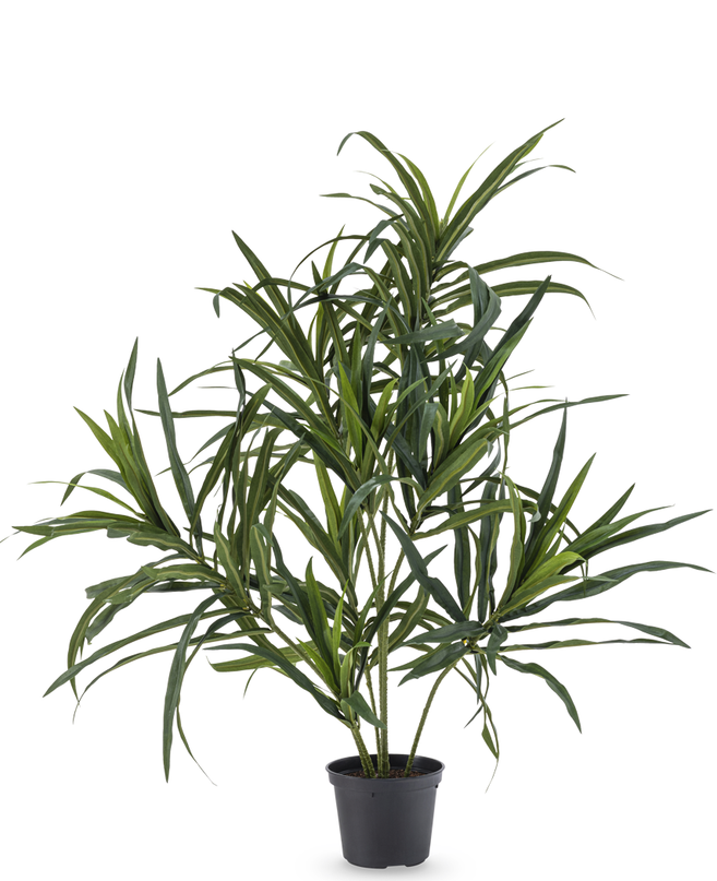 Plante artificielle Dracaena Reflexa en pot 63 cm