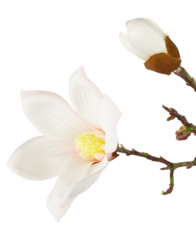 Branche de magnolia artificiel Real Touch blanc 98 cm