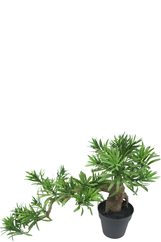 Podocarpus artificiel Bonsai 52 cm