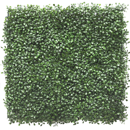 Mur végétal artificiel Buis 50x50 cm UV