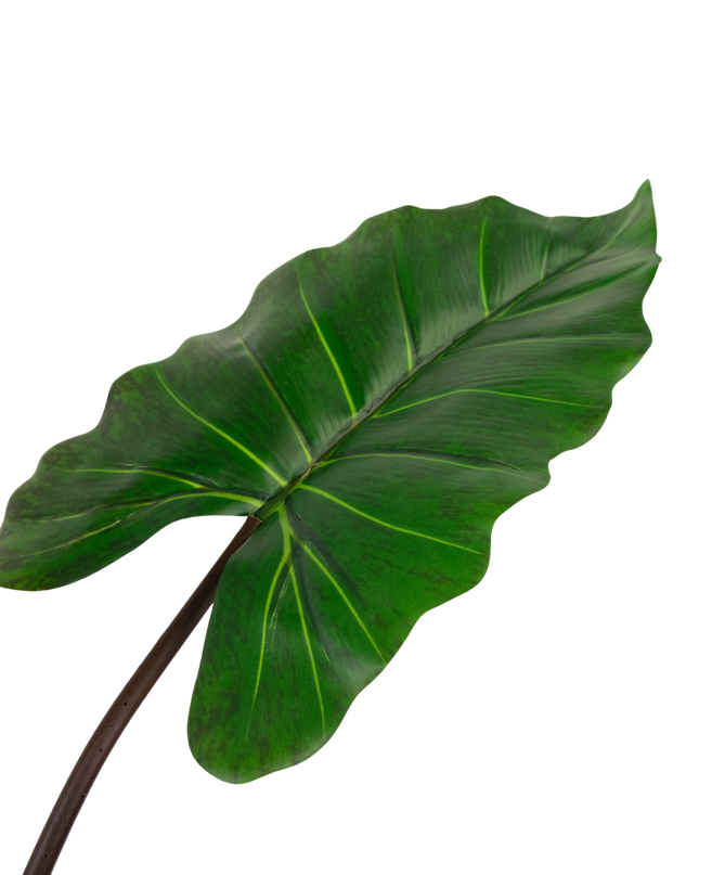 Plante artificielle Alocasia 180 cm