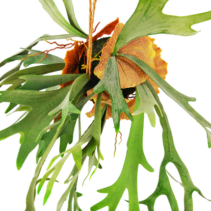 Plante artificielle tombante Staghorn sur boule 89 cm
