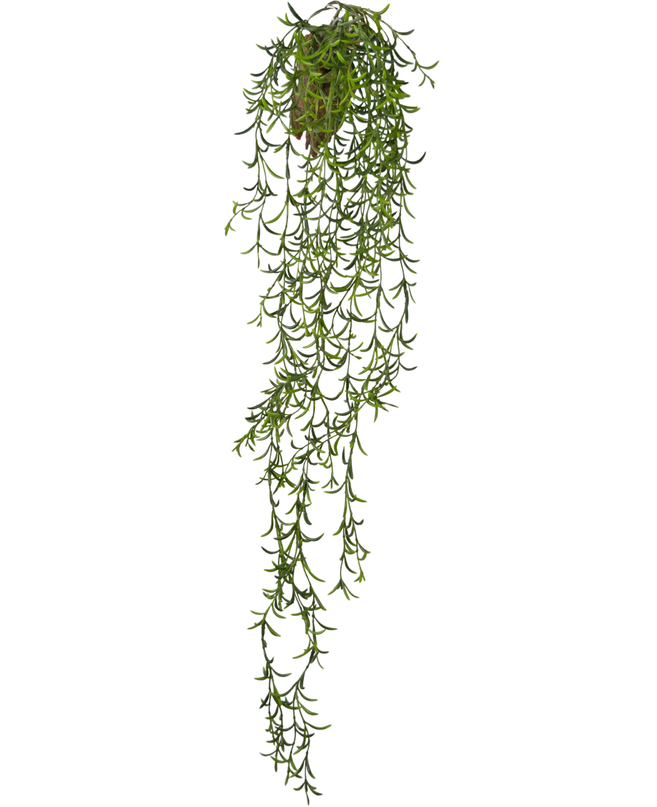 Plante artificielle tombante Senecio 86 cm
