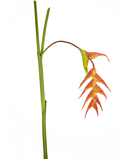 Fleur artificielle Heliconia 120 cm rouge