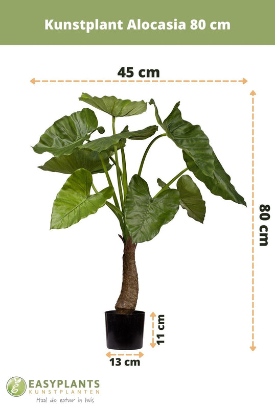 Plante artificielle Alocasia 80 cm