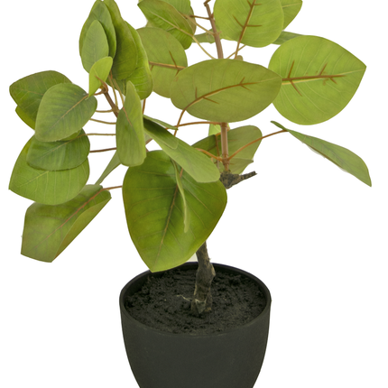 Ficus Tropica artificiel en pot ornemental noir 12 cm