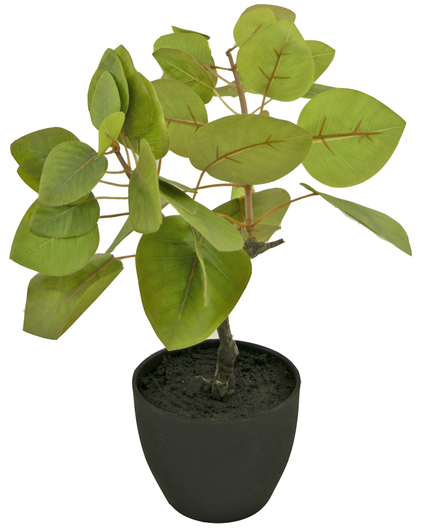 Ficus Tropica artificiel en pot ornemental noir 12 cm