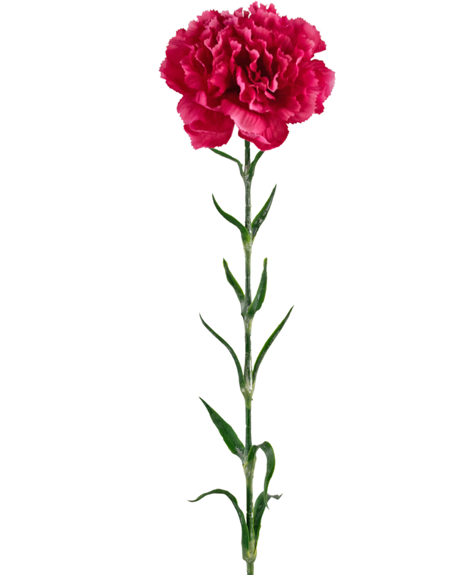 Fleur artificielle Oeillet 69 cm rose vif