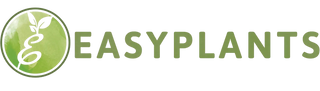 Easyplants-artificielles.fr
