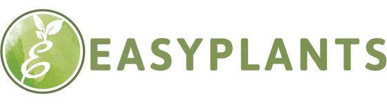 Easyplants-artificielles.fr