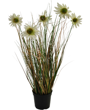 Le gazon artificiel chrysanthème oignon pot 60 cm ignifuge possède de longues et fines feuilles vertes et brunes avec plusieurs tiges hautes surmontées de fleurs blanches ressemblant à des marguerites au cœur jaune.