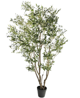 De Kunstplant Olijfboom 260 cm heeft meerdere slanke takken en dichte, smalle groene bladeren. Tegen een witte achtergrond brengt deze onderhoudsvriendelijke kunstplant moeiteloos groen in elke ruimte.