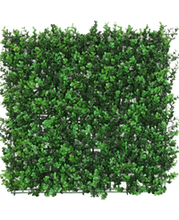 Mur végétal artificiel Buis vert 50x50 cm UV