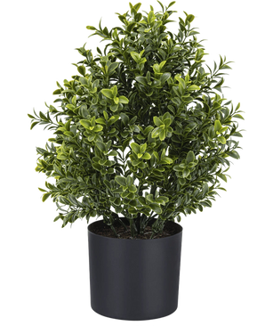 La Plante Artificielle Buis Style Romain UV 36 cm est une plante artificielle en pot compacte au feuillage vert dense, présentée dans une simple jardinière ronde noire sur un fond blanc uni.