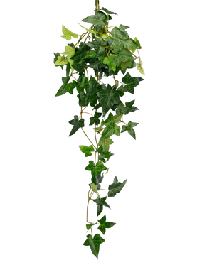 De Kunst hangplant Klimop Boston 70 cm groen heeft trapsgewijze strengen van kunstmatige klimop met groene bladeren in verschillende tinten, tegen een effen witte achtergrond.
