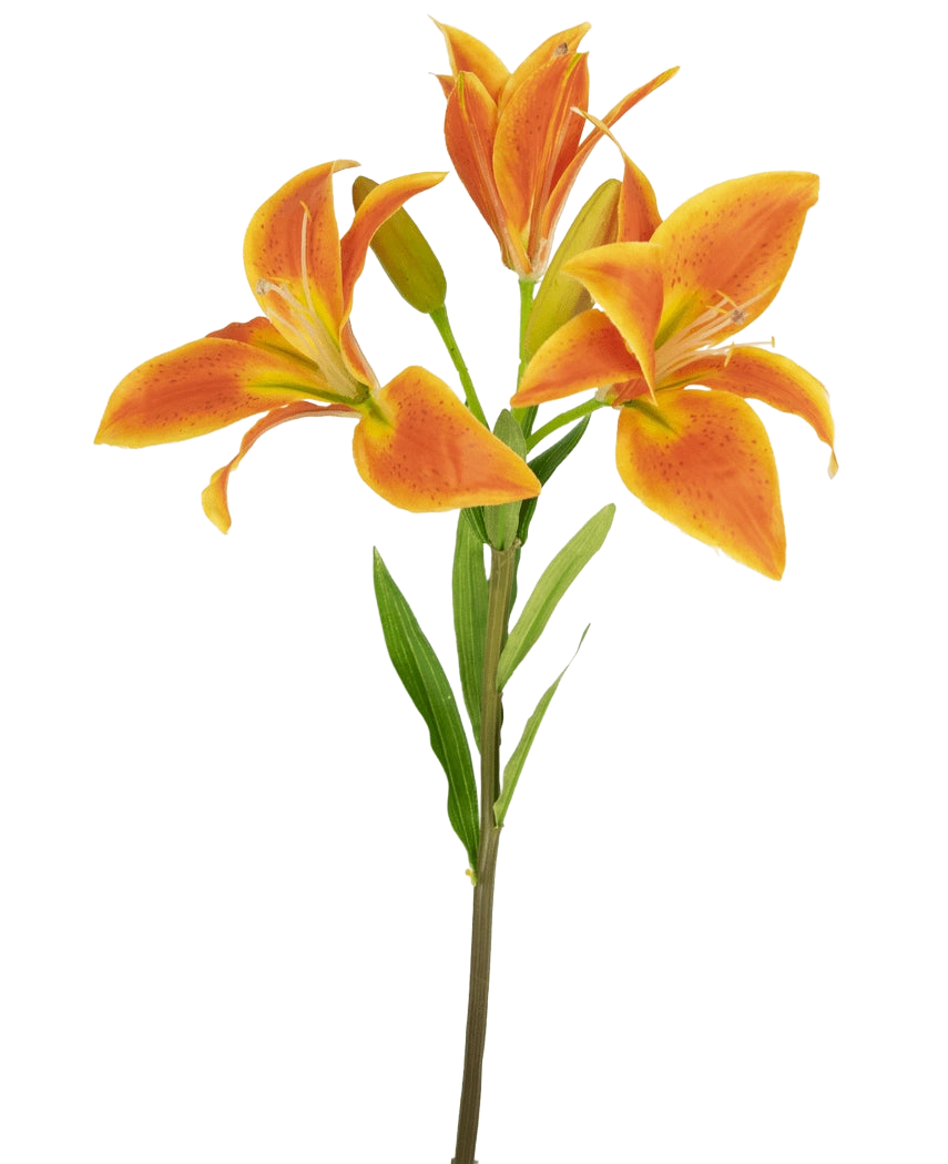 La Fleur Artificielle Lys Asiatique 66 cm orange a une seule tige avec trois lys orange ouverts, un bourgeon non ouvert et des feuilles vertes sur fond clair.
