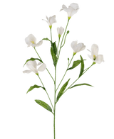 De Kunstrododendron Azalea Real Touch Wit 80cm heeft een enkele groene stengel met meerdere takken, elk met delicate witte bloemen en lange groene bladeren, allemaal op een effen witte achtergrond.