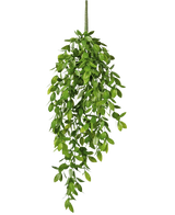 De Kunst hangplant Gardenia 61 cm heeft weelderige groene bladeren in de vorm van een druppel, waardoor een levensechte hangende kunstplant ontstaat die perfect is voor thuisdecoratie.