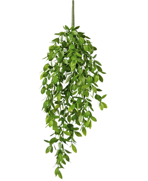De Kunst hangplant Gardenia 61 cm heeft weelderige groene bladeren in de vorm van een druppel, waardoor een levensechte hangende kunstplant ontstaat die perfect is voor thuisdecoratie.