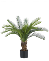 De Kunstplant Cycaspalm 80 cm heeft lange, gebogen groene bladeren en een bruine stam in een pot, tegen een effen witte achtergrond - ideaal om weelderige, onderhoudsvrije groene kunstbomen toe te voegen aan elke ruimte.