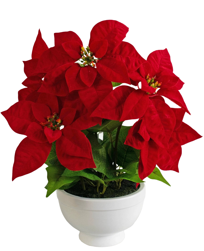 La Plante Artificielle Poinsettia 44 cm rouge est un pot blanc avec une plante de poinsettia aux feuilles rouge vif en forme d'étoile et au feuillage vert sur un fond blanc uni.