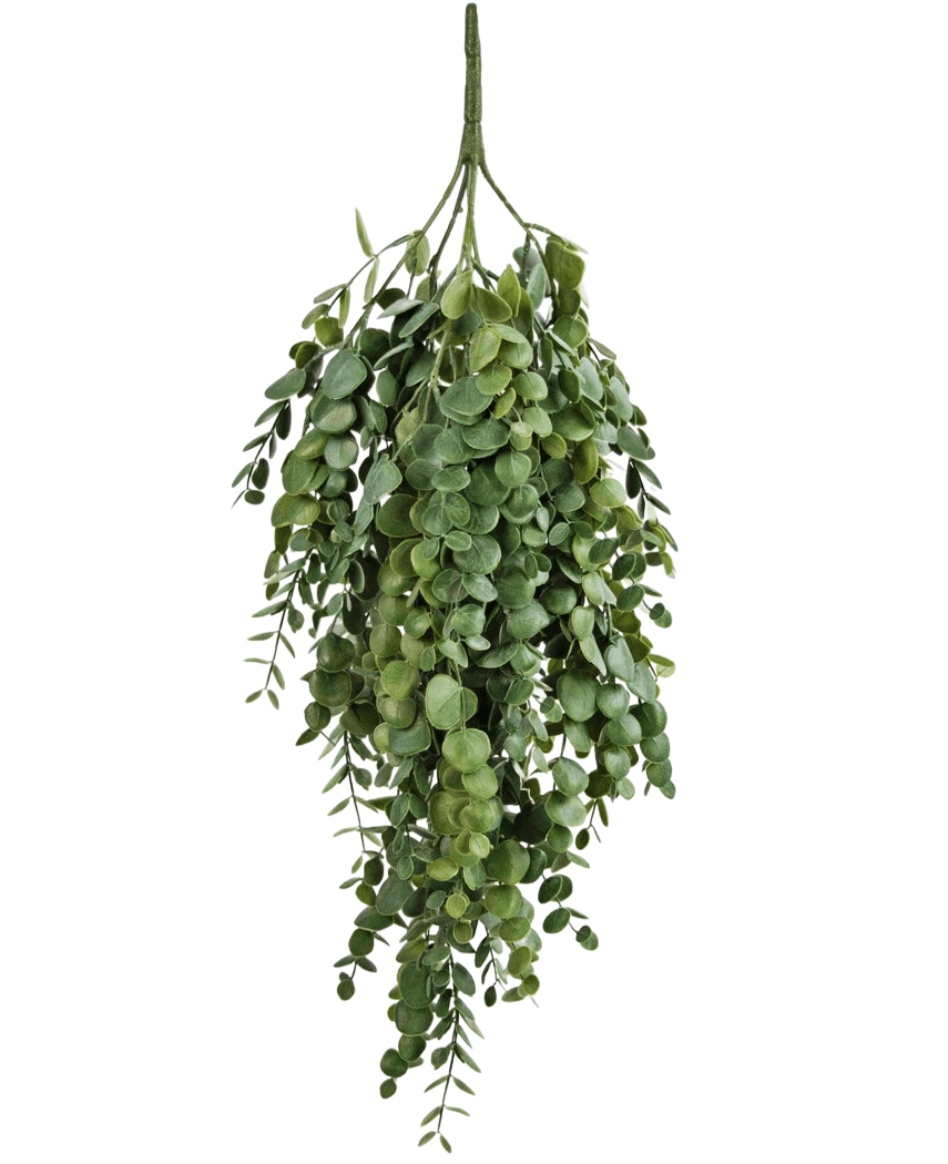 La plante artificielle suspendue Eucalyptus 76 cm possède des feuilles d'eucalyptus artificielles denses et en cascade aux formes rondes et ovales, parfaites pour ajouter de la verdure à n'importe quel espace.