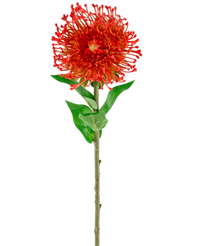 Fleur artificielle Protea 73 cm rouge